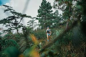 BIB: 
                            <button type="button" onclick="openModal(25258525)" class="btn btn-primary btn-sm float-right btn-popup" data-toggle="modal" data-target=".modal-high-quality">
                        <i class="fas fa-shopping-cart"></i> Add to Cart
                    </button>
                                            <button type="button" onclick="isThisMe(25258525, true)" class="btn btn-success btn-sm float-right btn-popup btn-isme hidden" data-toggle="tooltip" data-placement="bottom" title="นี่คือรูปของคุณใช่ไหม คลิกที่นี่เพื่อเอาเข้าอัลบั้ม">
                        <i class="fas fa-plus"></i> Add to album
                    </button>
                    <button type="button" onclick="isThisMe(25258525, false)" class="btn btn-warning btn-sm float-right btn-popup btn-isnotme hidden">
                        <i class="fas fa-ban"></i> Remove from album
                    </button>